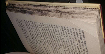 收藏的圖書為什么會發(fā)霉？圖書的防霉措施！