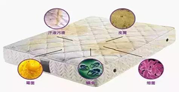 防霉劑廠家為你解答床墊細(xì)菌多不多？