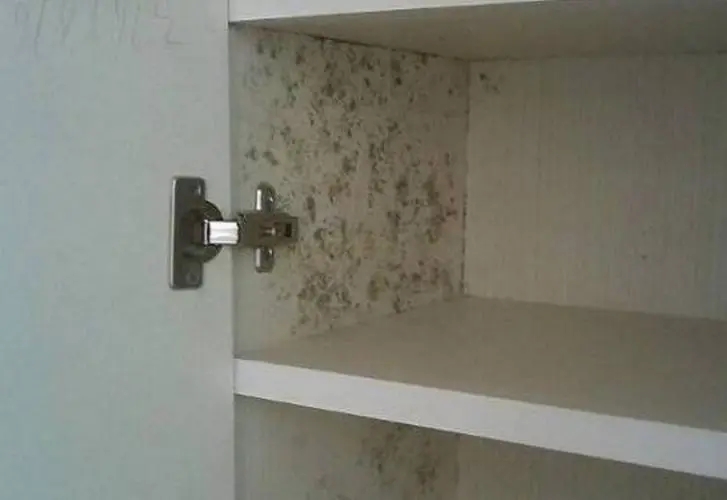 衣柜發霉了怎么辦？