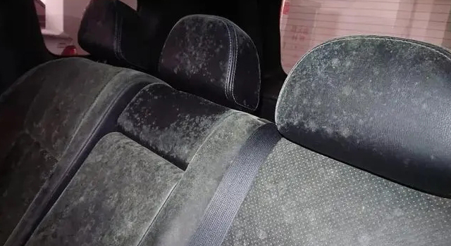 汽車內飾發霉是什么原因？該怎么辦?