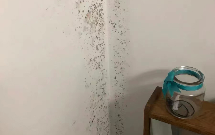 墻面發霉怎么處理？教你一招自己在家就能解決